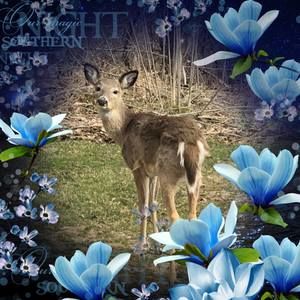 Meet your Posher, Marsha